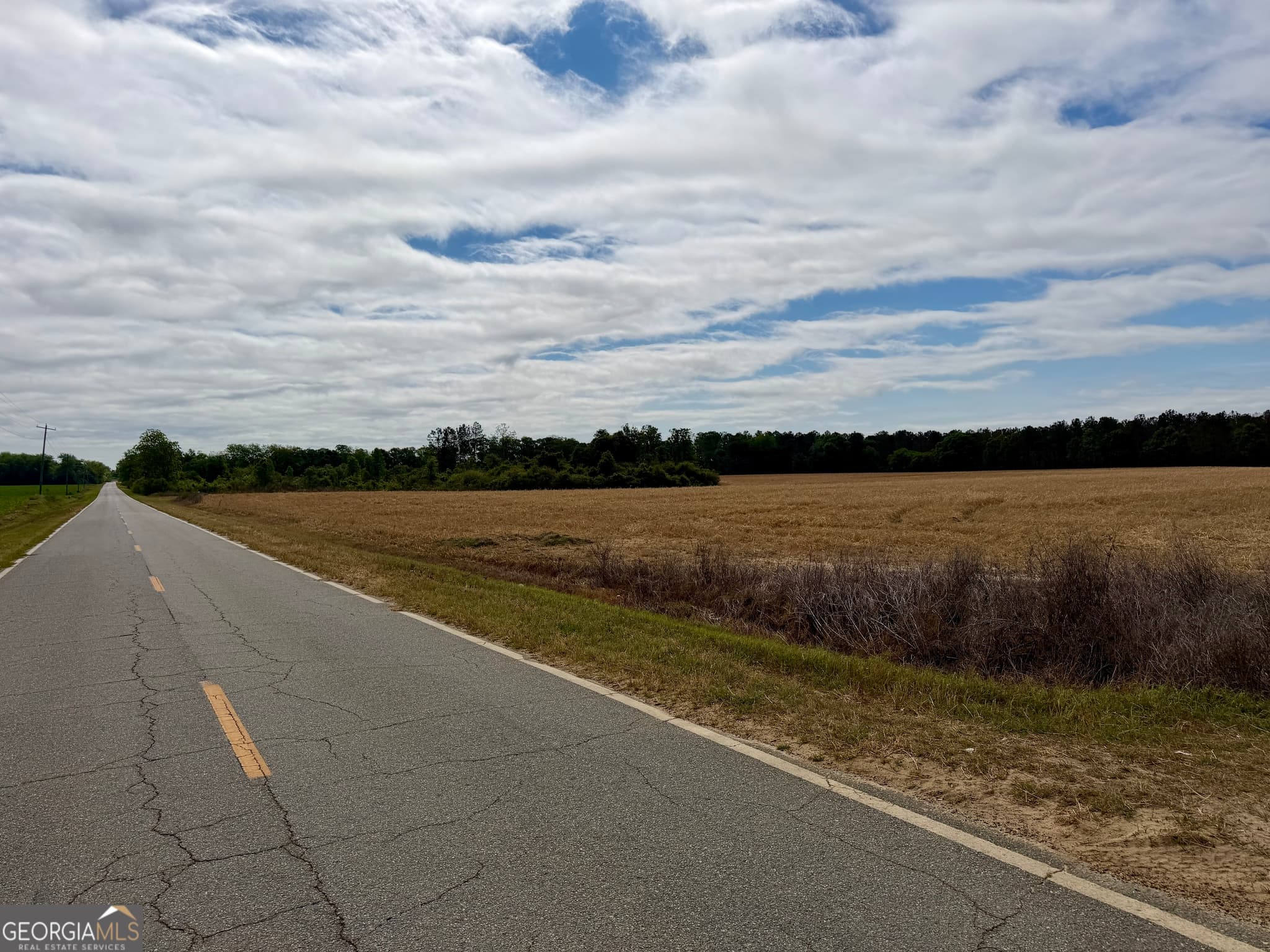 agriculture for sale at 0 Folds Road, Pineview, GA 31071 — photo 10