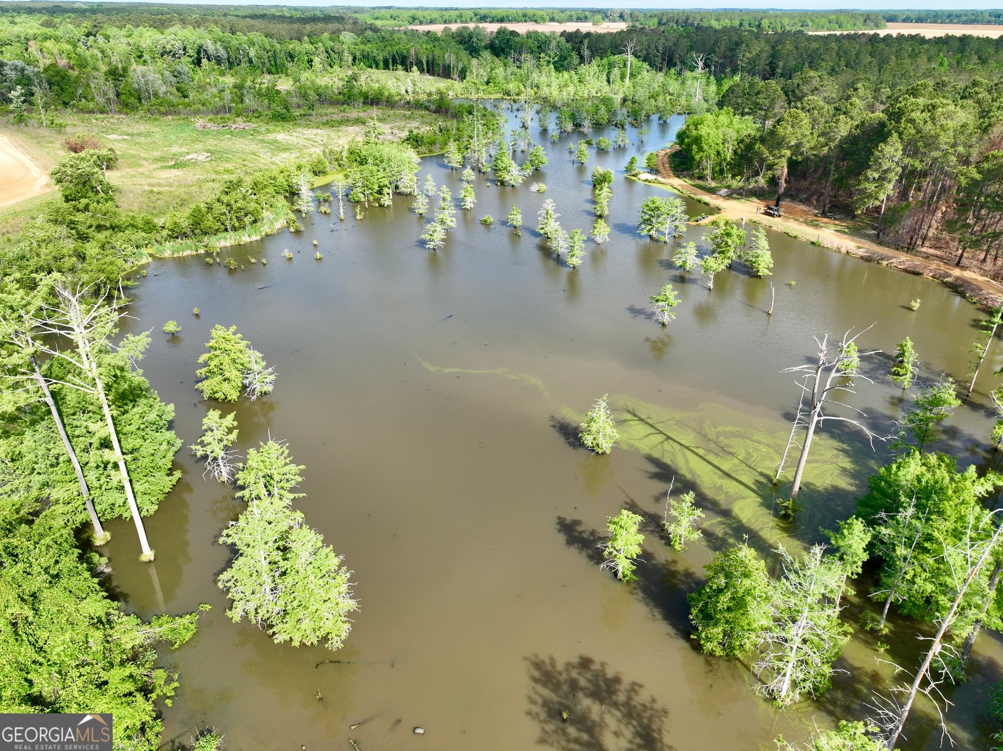 agriculture for sale at 0 Folds Road, Pineview, GA 31071 — photo 4
