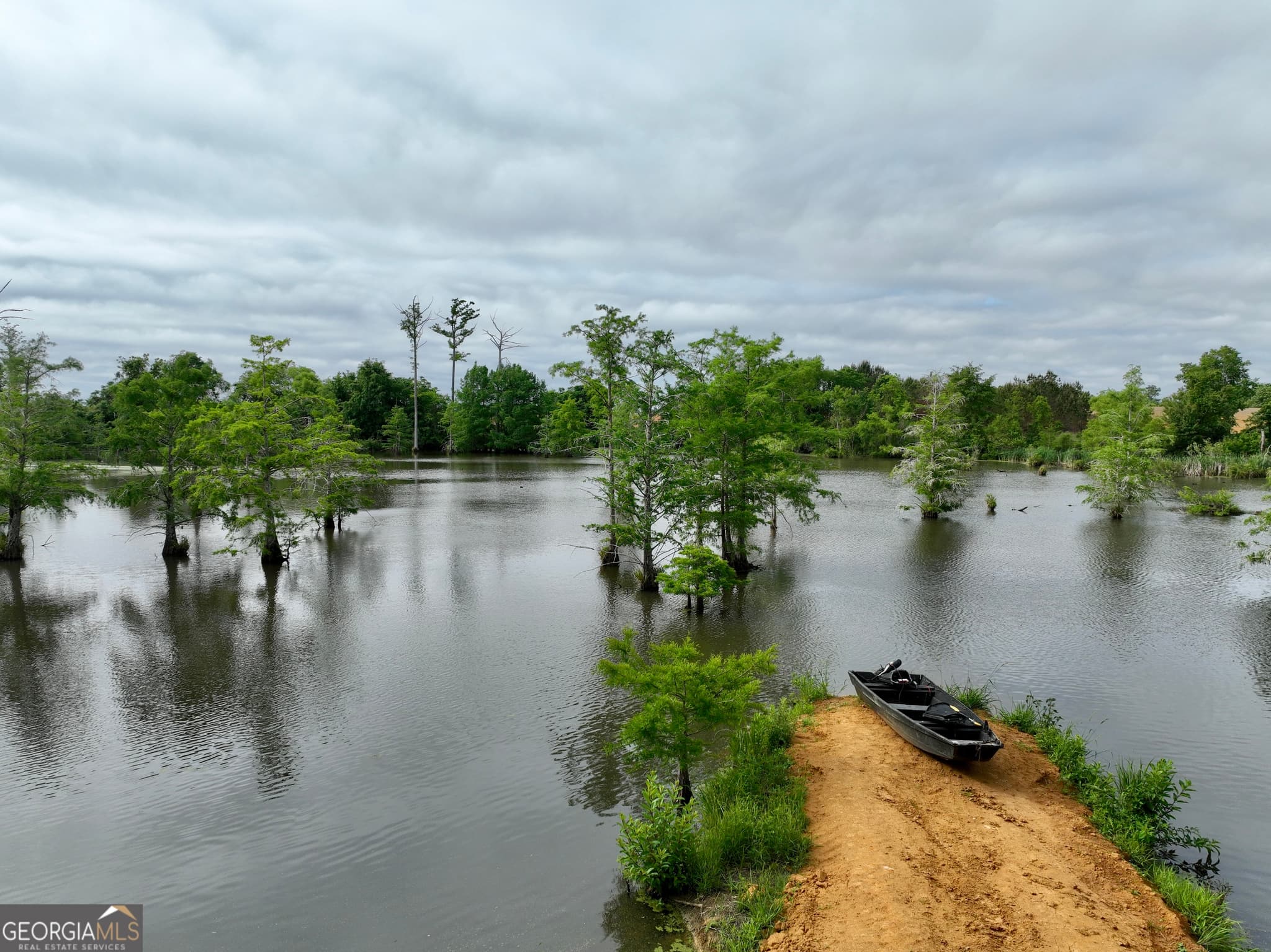 agriculture for sale at 0 Folds Road, Pineview, GA 31071 — photo 8