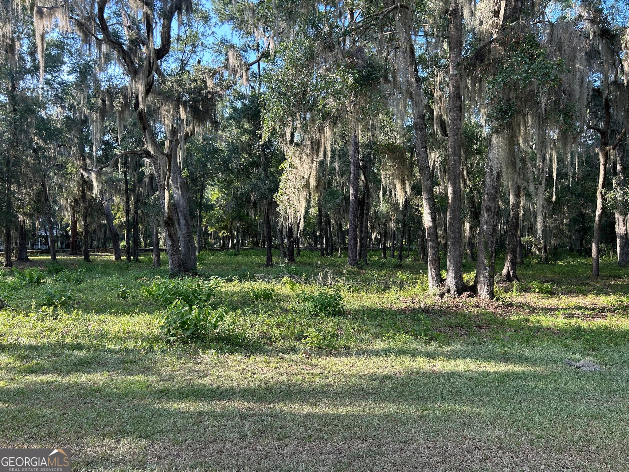 residential lot for sale at 0 Wood Stork Drive, Darien, GA 31305 — photo 2