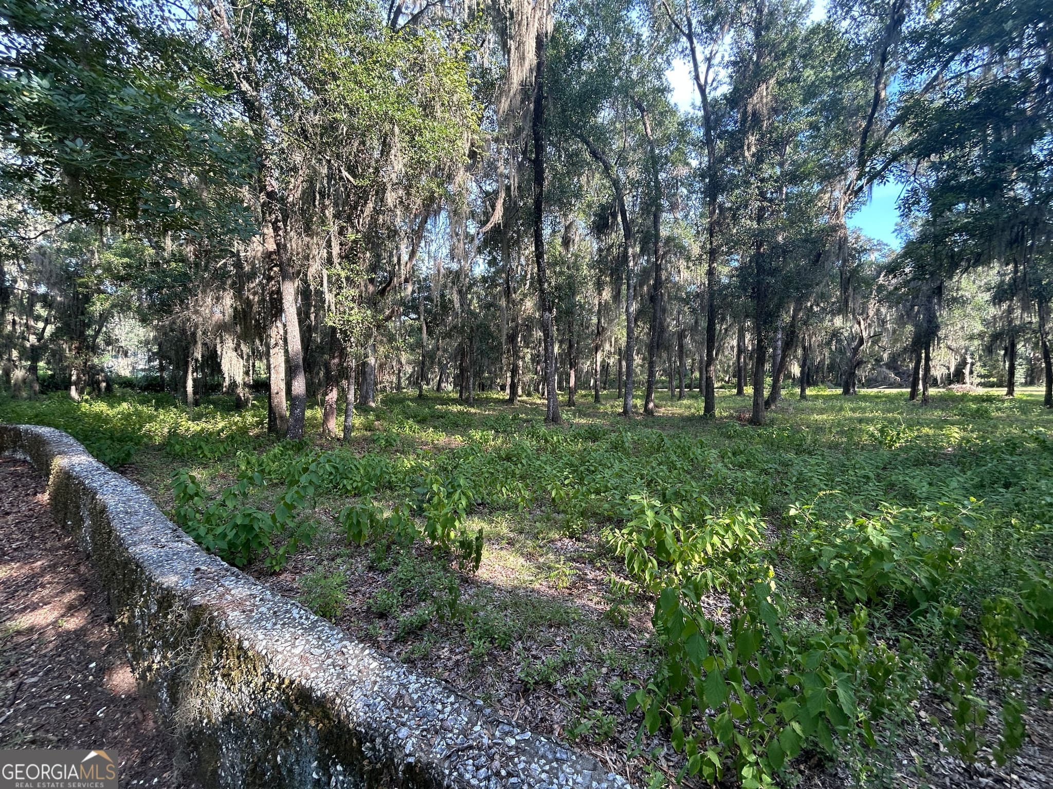 residential lot for sale at 0 Wood Stork Drive, Darien, GA 31305 — photo 3