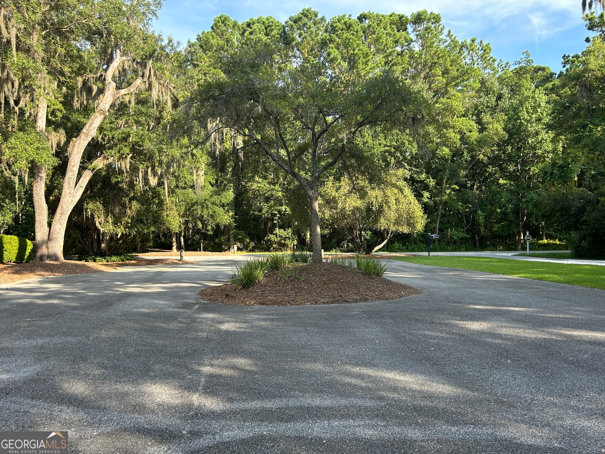 residential lot for sale at 0 Wood Stork Drive, Darien, GA 31305 — photo 9