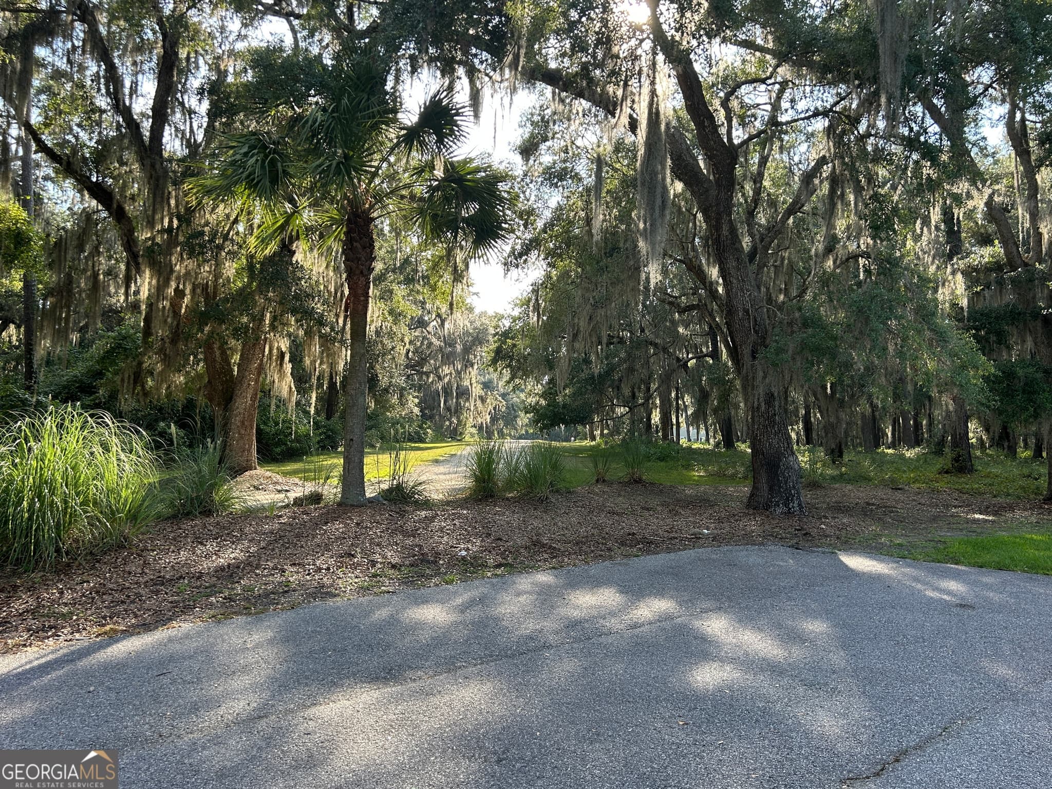 residential lot for sale at 0 Wood Stork Drive, Darien, GA 31305 — photo 10