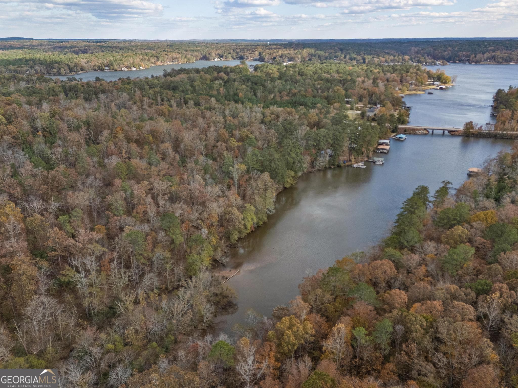 residential lot for sale at 11500 Highway 212, Covington, GA 30014 — photo 2