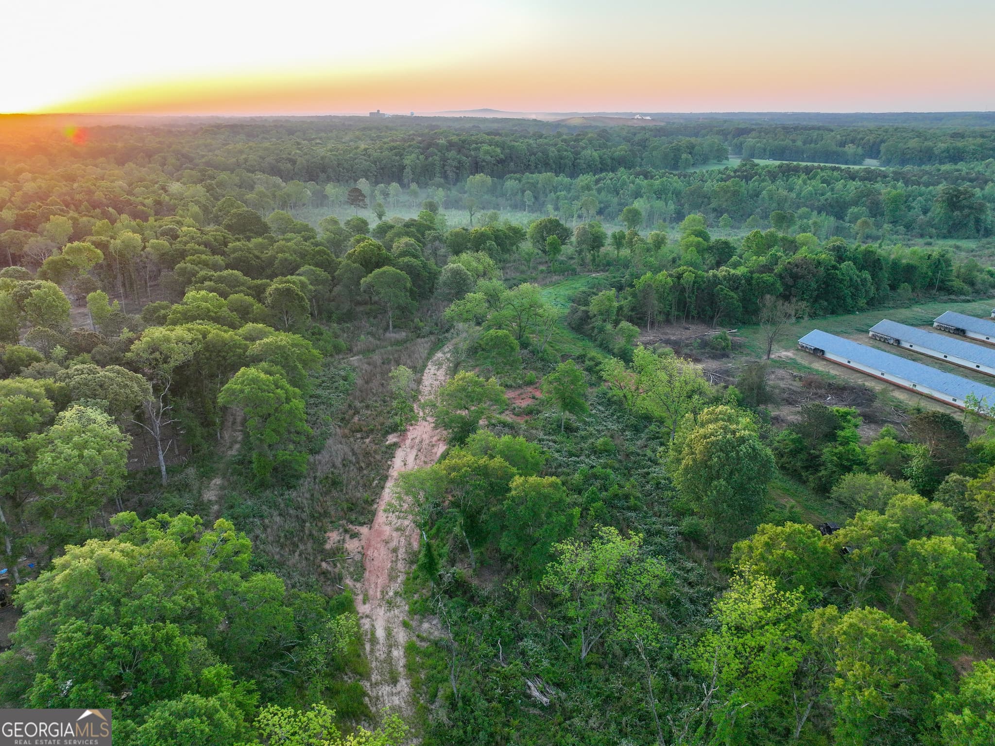 agriculture for sale at 0 Zebulon Road, Milner, GA 30257 — photo 2