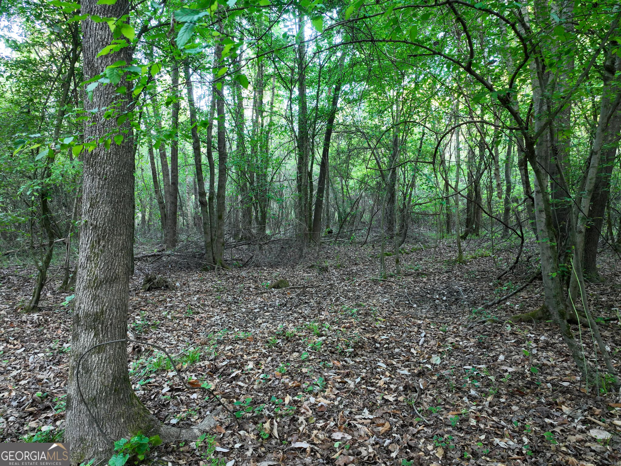 agriculture for sale at 0 Zebulon Road, Milner, GA 30257 — photo 7