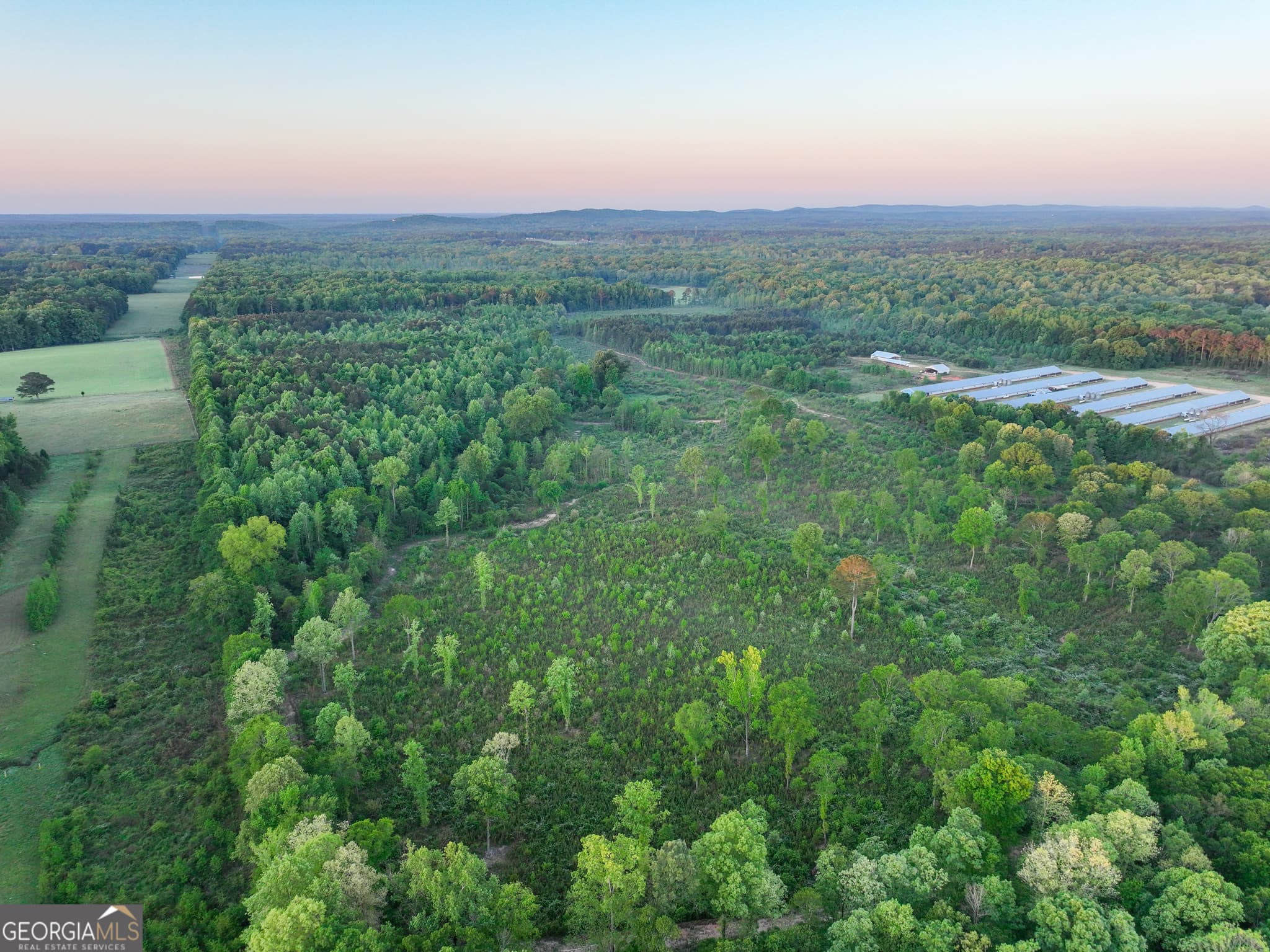 agriculture for sale at 0 Zebulon Road, Milner, GA 30257 — photo 3