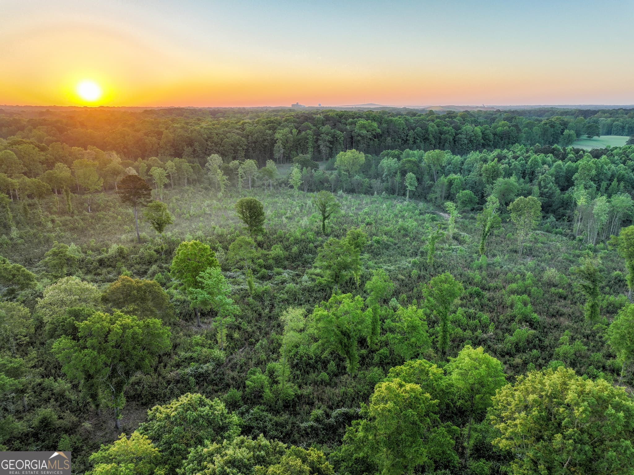 agriculture for sale at 0 Zebulon Road, Milner, GA 30257