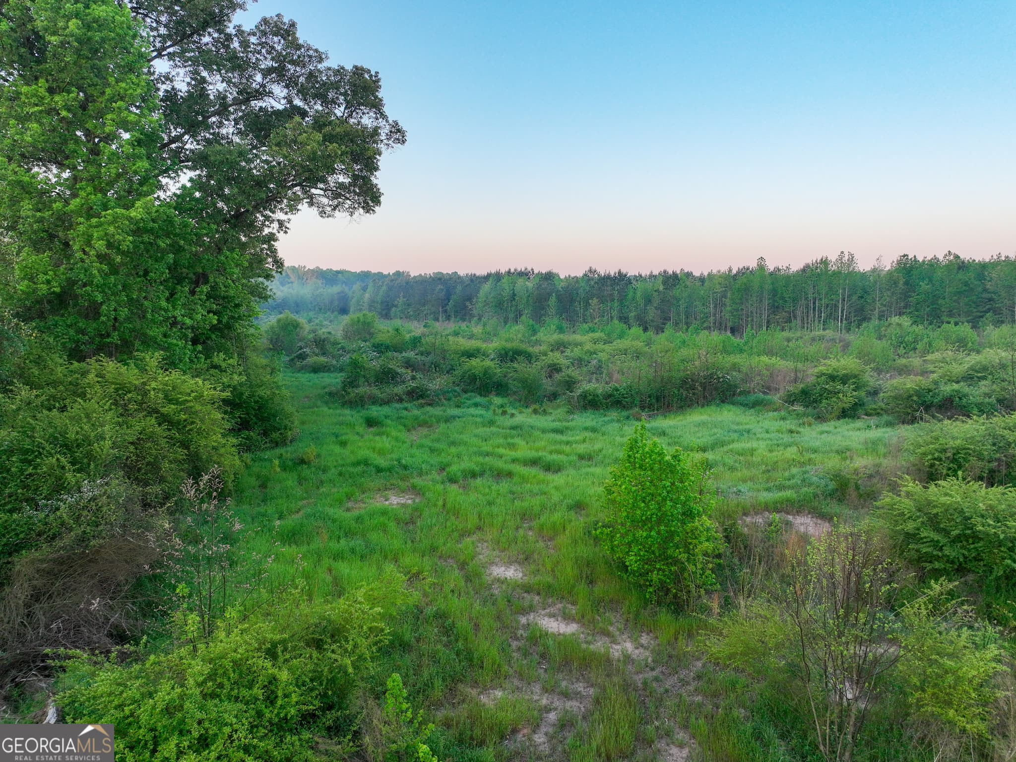 agriculture for sale at 0 Zebulon Road, Milner, GA 30257 — photo 4