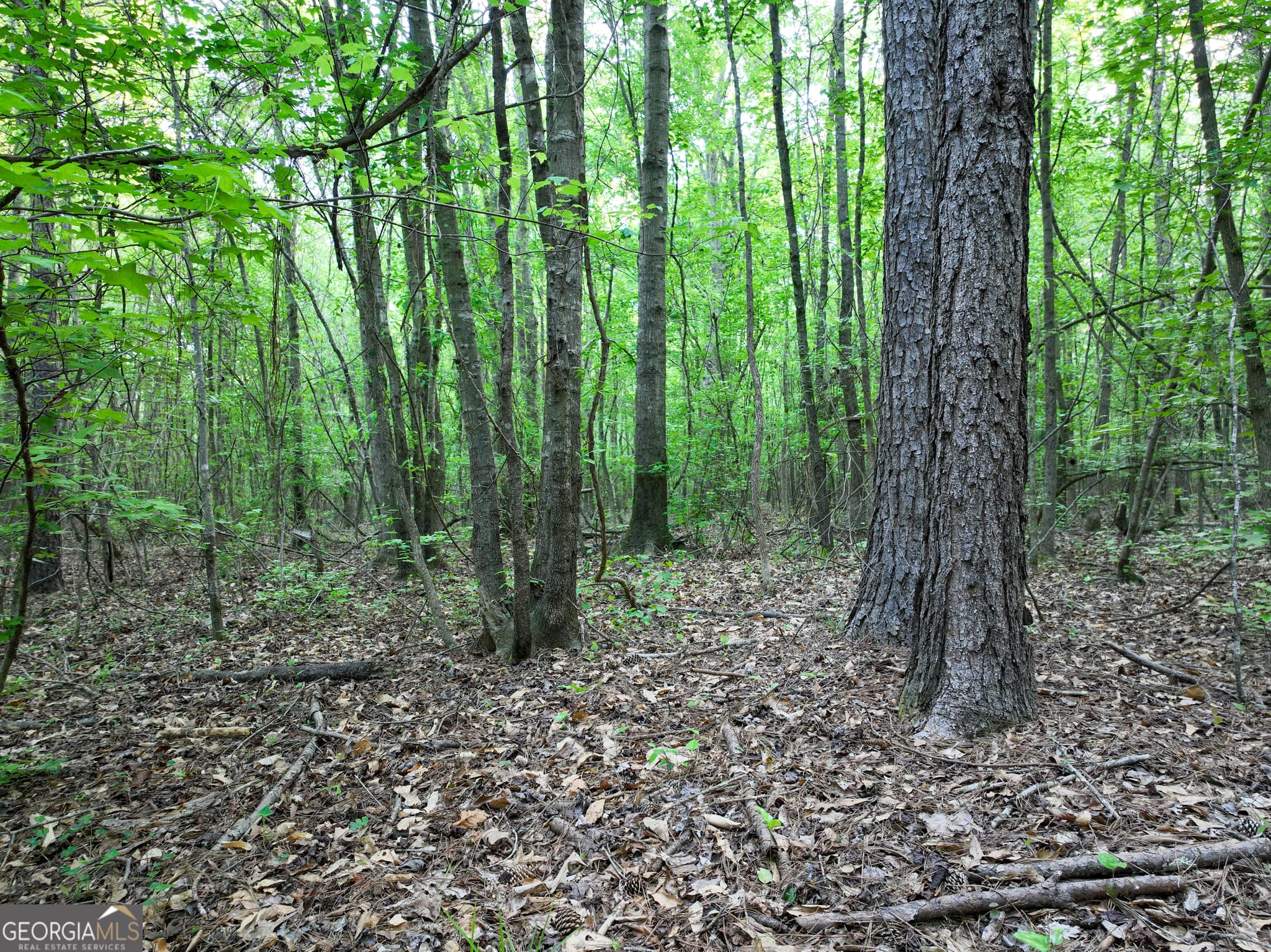 agriculture for sale at 0 Zebulon Road, Milner, GA 30257 — photo 8