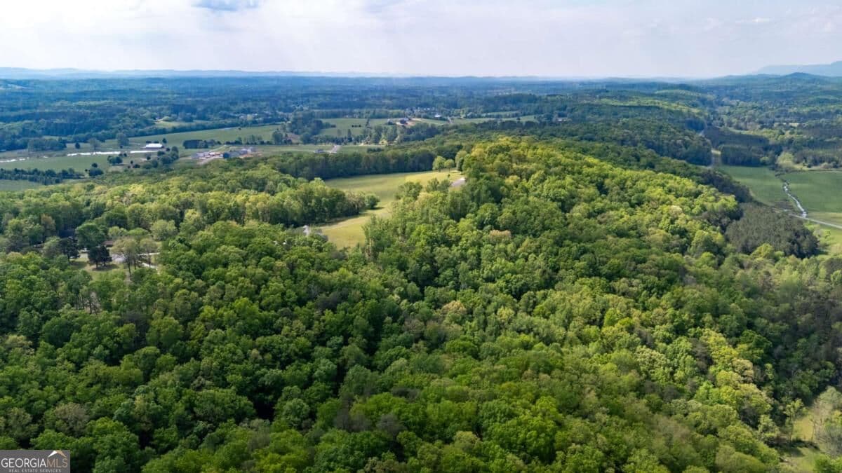 agriculture for sale at 0 Bicentennial Trail, Rock Spring, GA 30739 — photo 2