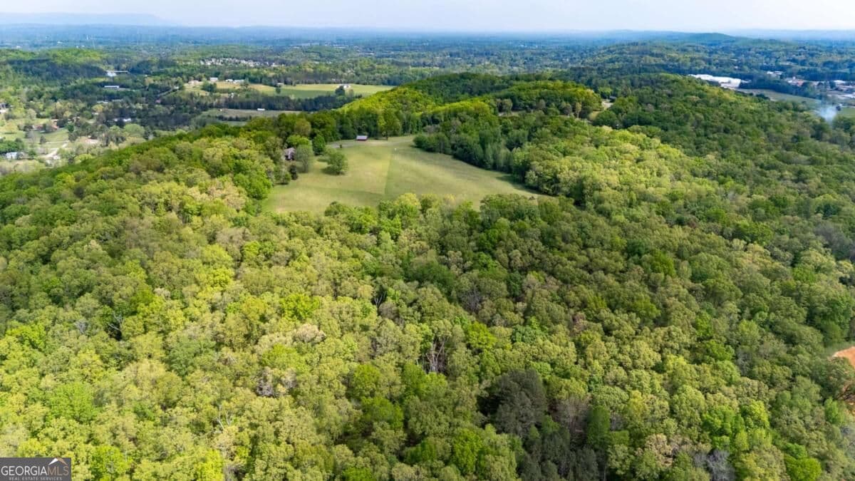 agriculture for sale at 0 Bicentennial Trail, Rock Spring, GA 30739 — photo 7