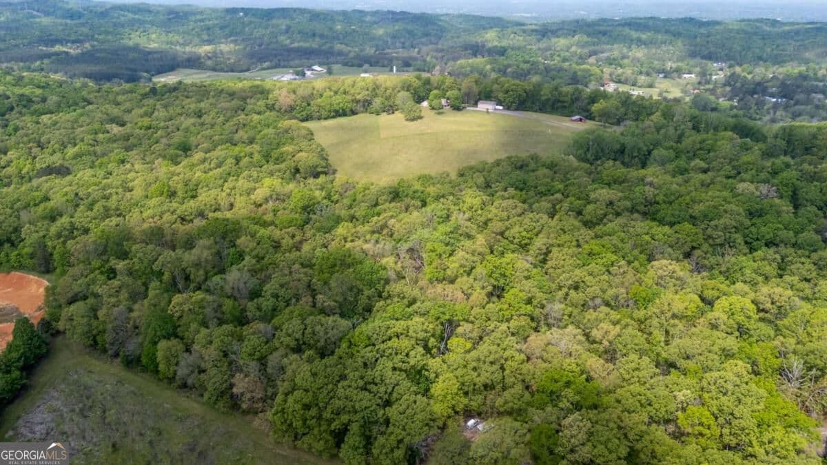 agriculture for sale at 0 Bicentennial Trail, Rock Spring, GA 30739 — photo 9