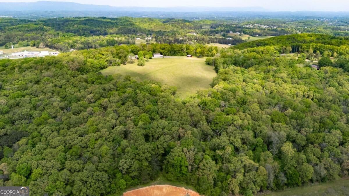 agriculture for sale at 0 Bicentennial Trail, Rock Spring, GA 30739 — photo 8