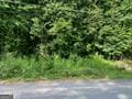 residential lot for sale at 578 Bristle Cone Drive, Macon, GA 31220 — photo 2