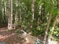 residential lot for sale at 578 Bristle Cone Drive, Macon, GA 31220 — photo 1 of 2