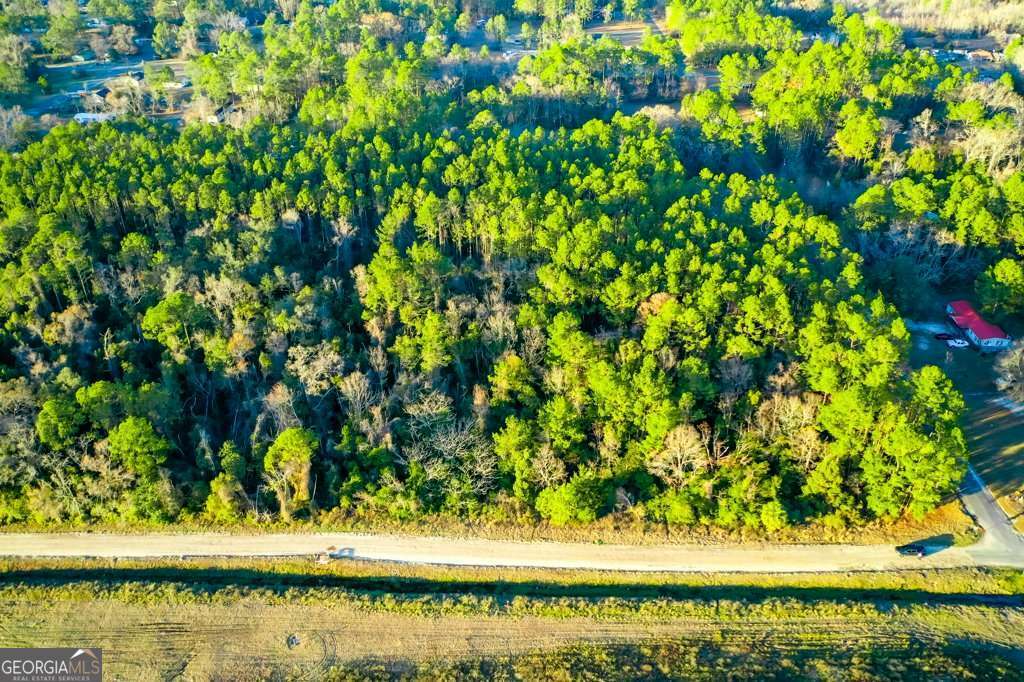 residential lot for sale at 0 Cabinet Street, Waycross, GA 31501 — photo 2