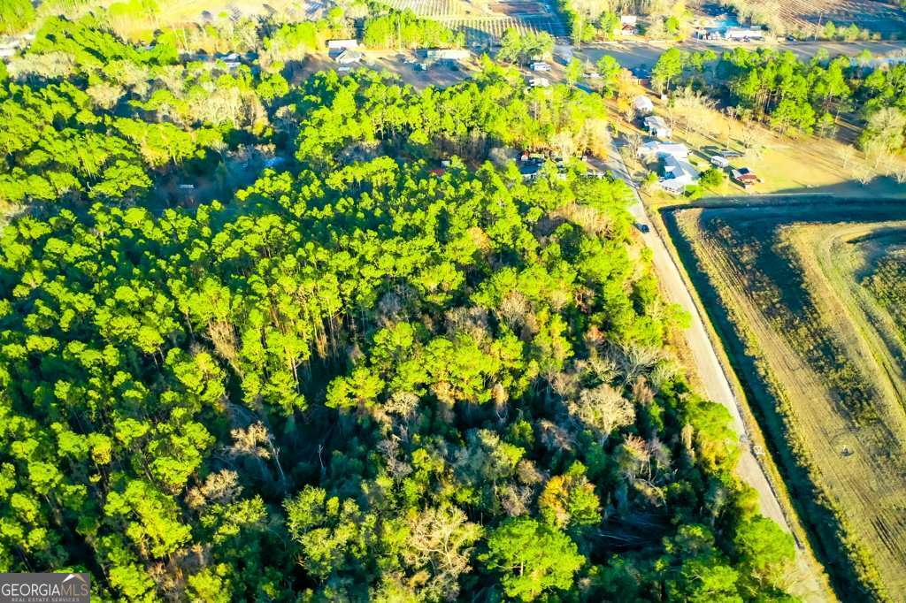 residential lot for sale at 0 Cabinet Street, Waycross, GA 31501 — photo 6