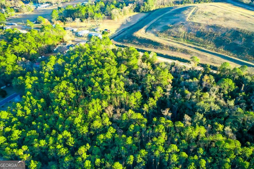 residential lot for sale at 0 Cabinet Street, Waycross, GA 31501 — photo 7
