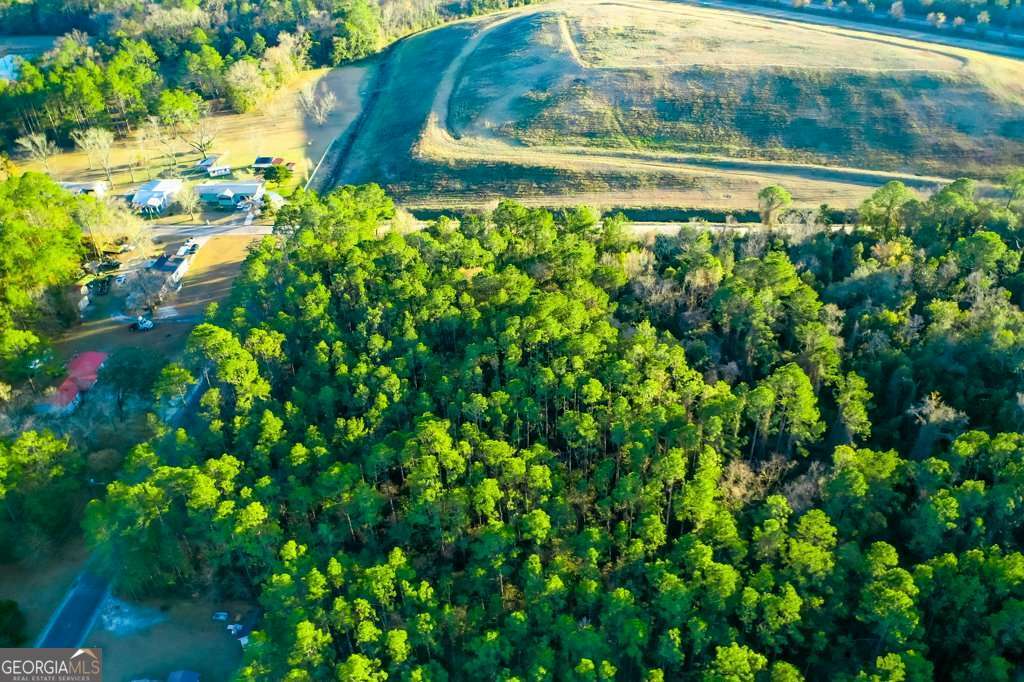 residential lot for sale at 0 Cabinet Street, Waycross, GA 31501 — photo 9