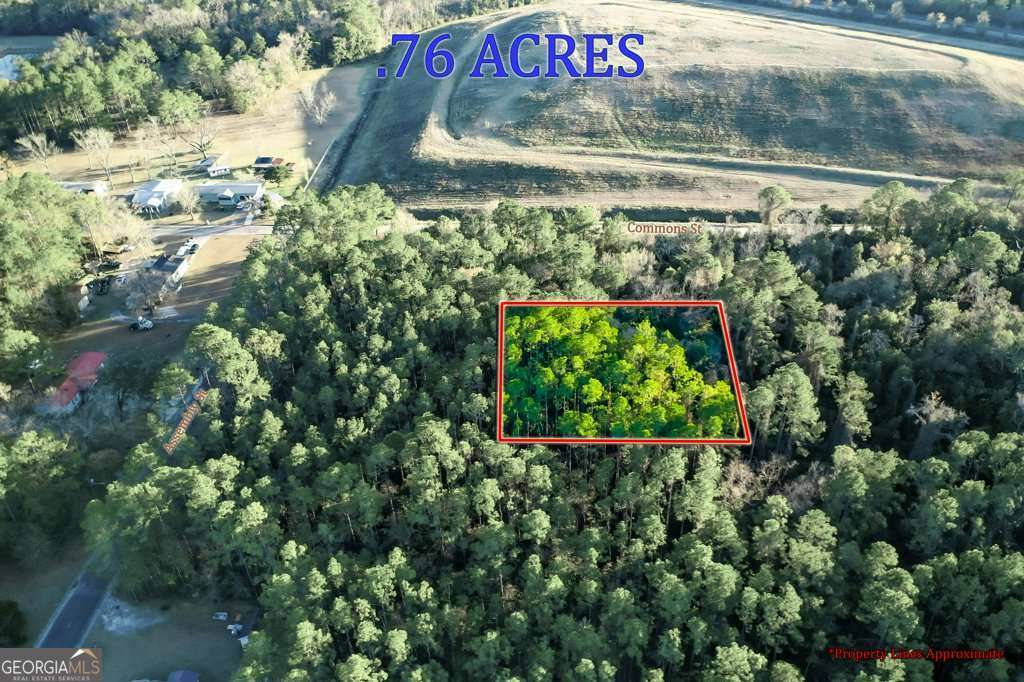 residential lot for sale at 0 Cabinet Street, Waycross, GA 31501 — photo 8