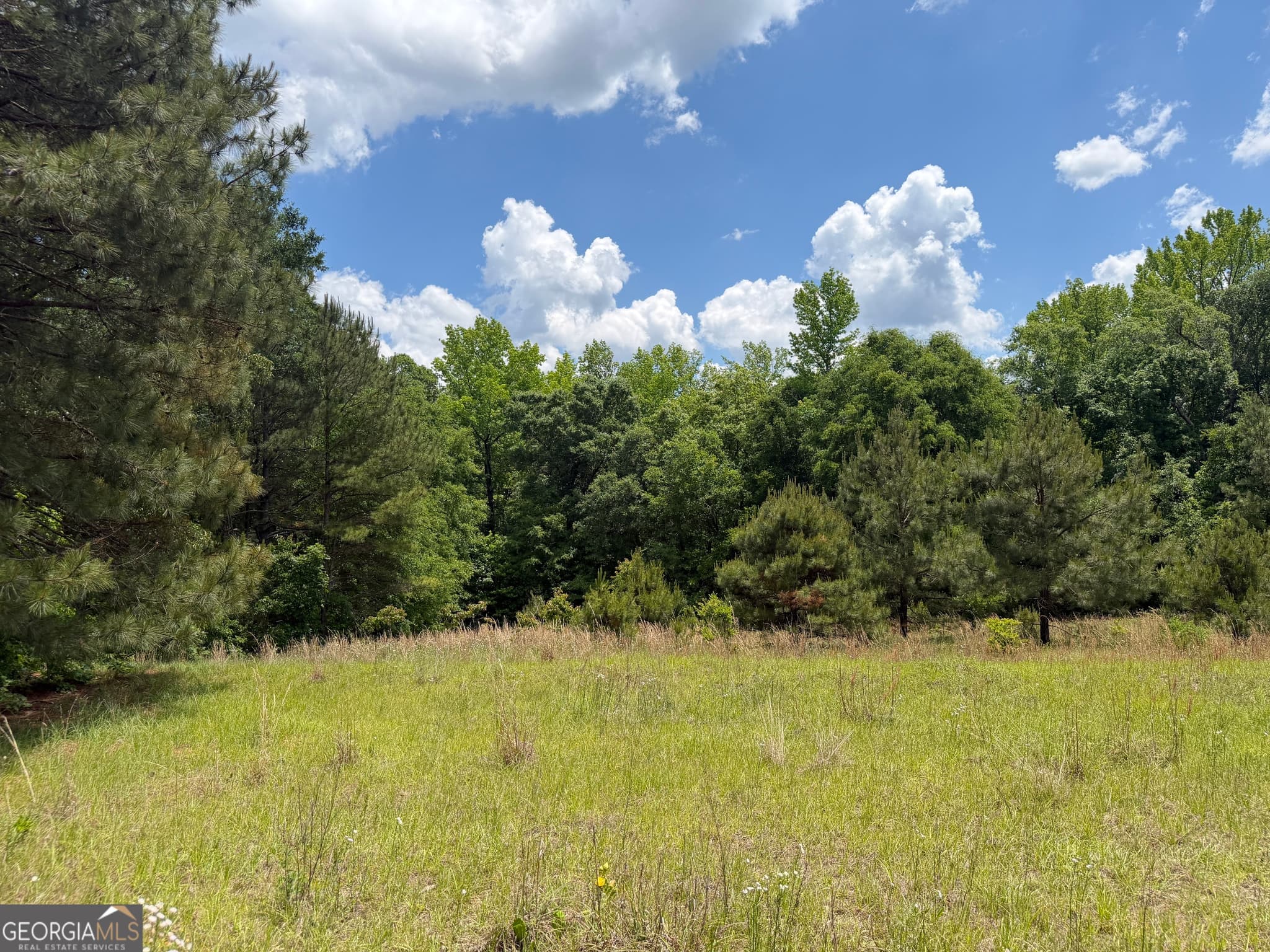 agriculture sold at 010 Long Branch Road, Toomsboro, GA 31090