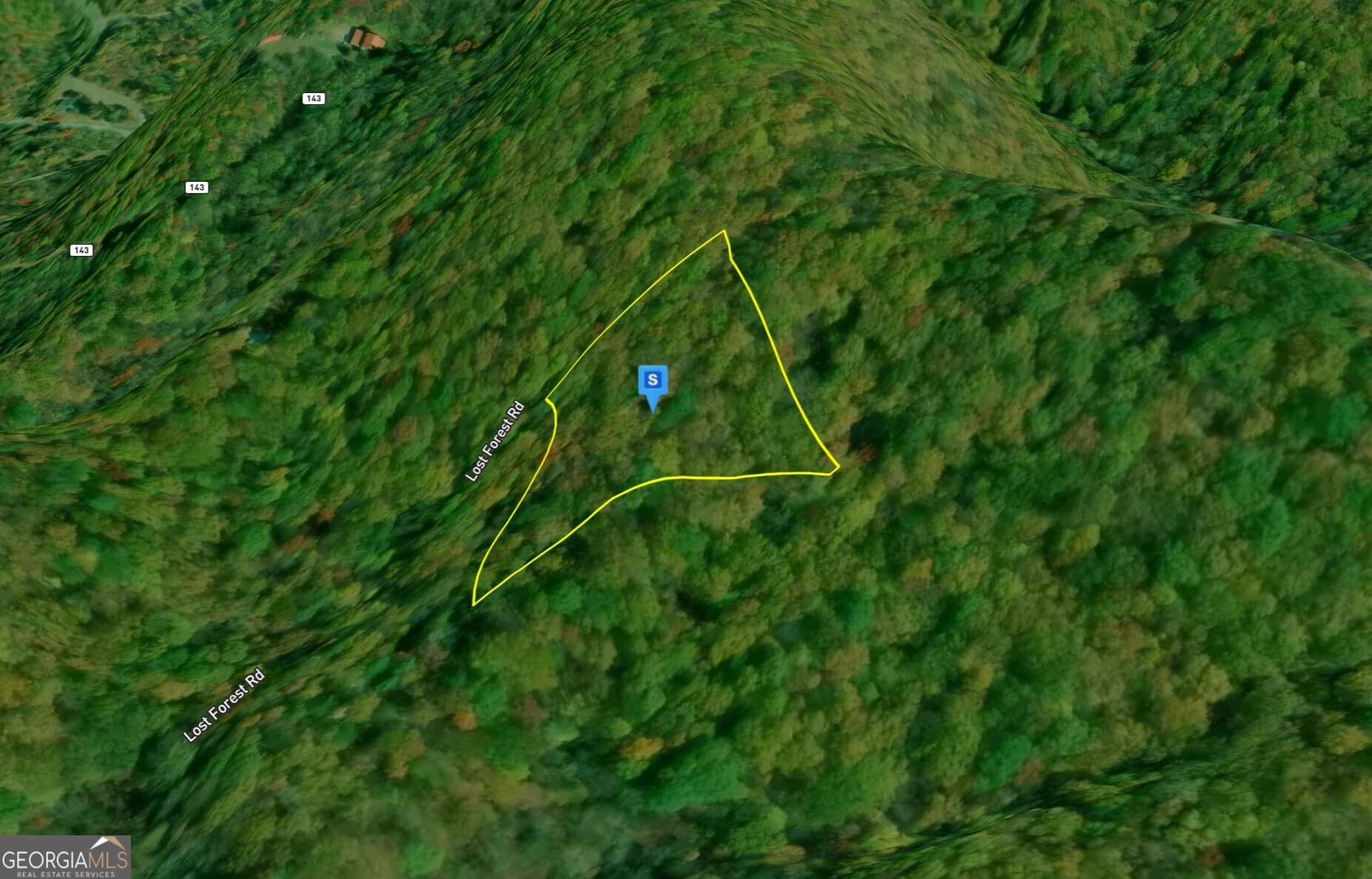 residential lot for sale at 935 Lost Forest Road, Ellijay, GA 30536 — photo 2
