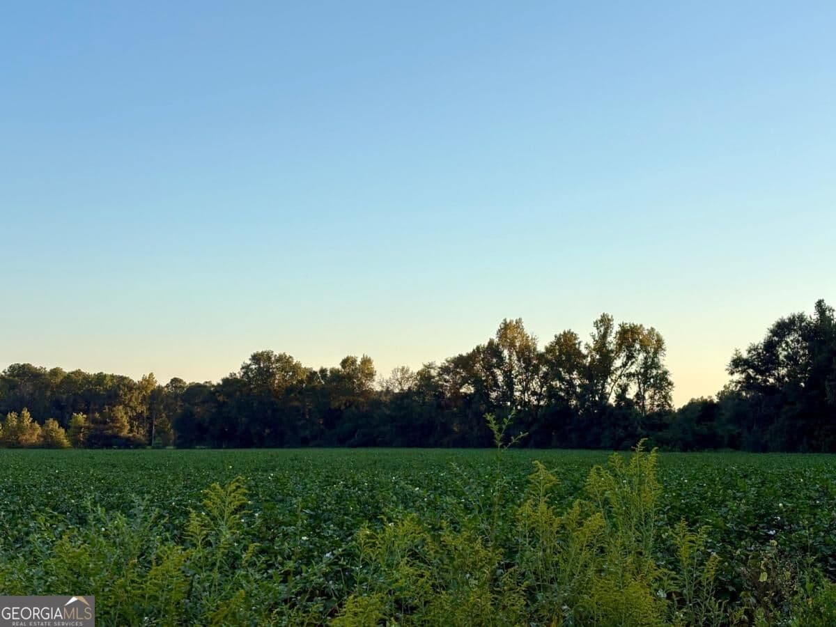 unimproved land for sale at 0 Old Moore Road 4, Portal, GA 30450 — photo 6