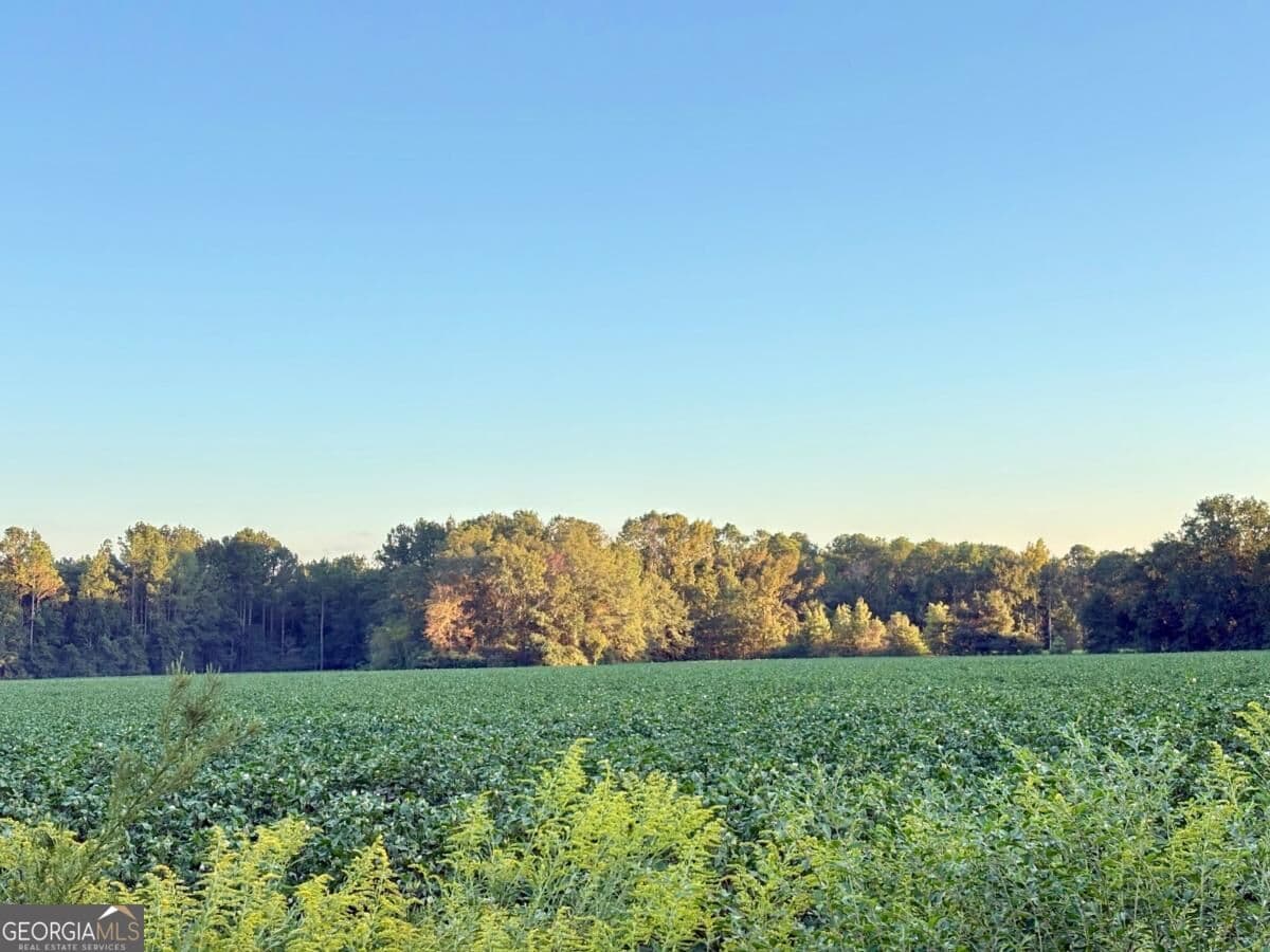 unimproved land for sale at 0 Old Moore Road 4, Portal, GA 30450 — photo 5