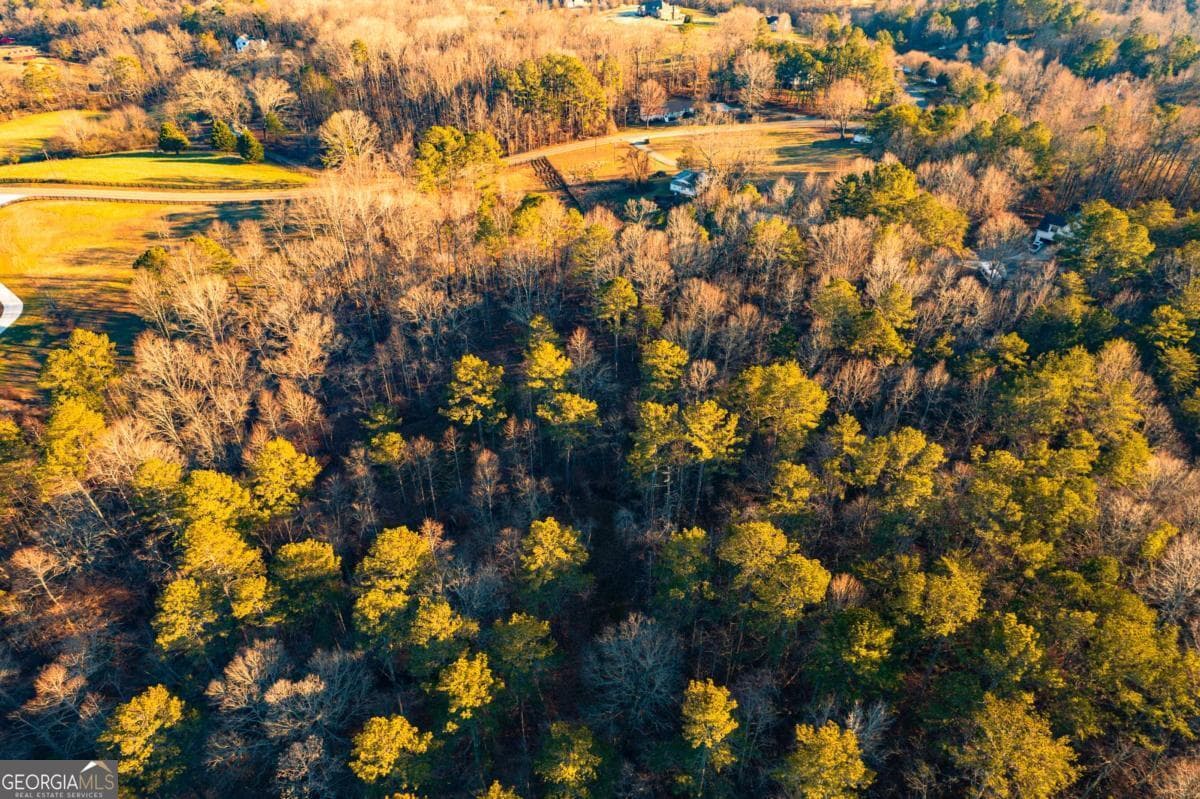 unimproved land for sale at 873 Long Road, Ball Ground, GA 30107 — photo 6