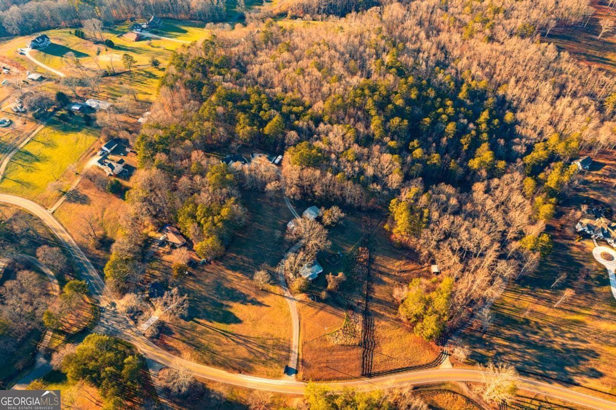 unimproved land for sale at 873 Long Road, Ball Ground, GA 30107 — photo 3