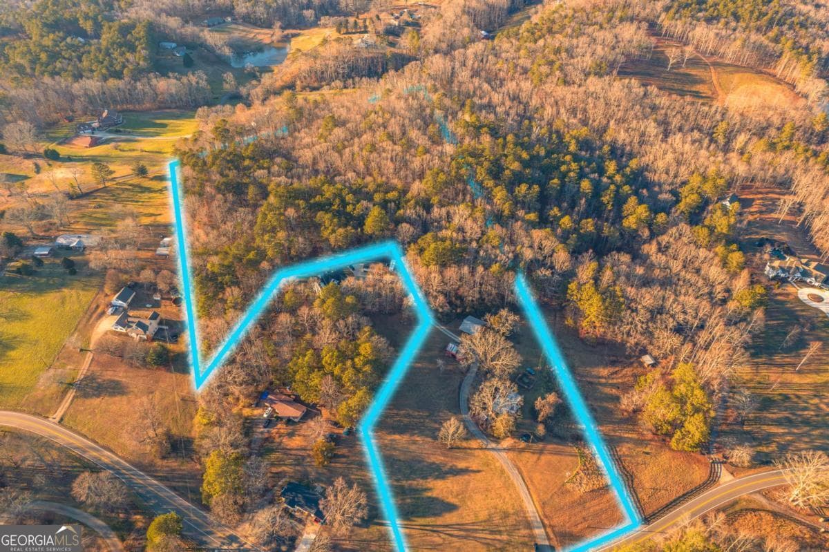 unimproved land for sale at 873 Long Road, Ball Ground, GA 30107 — photo 1 of 20