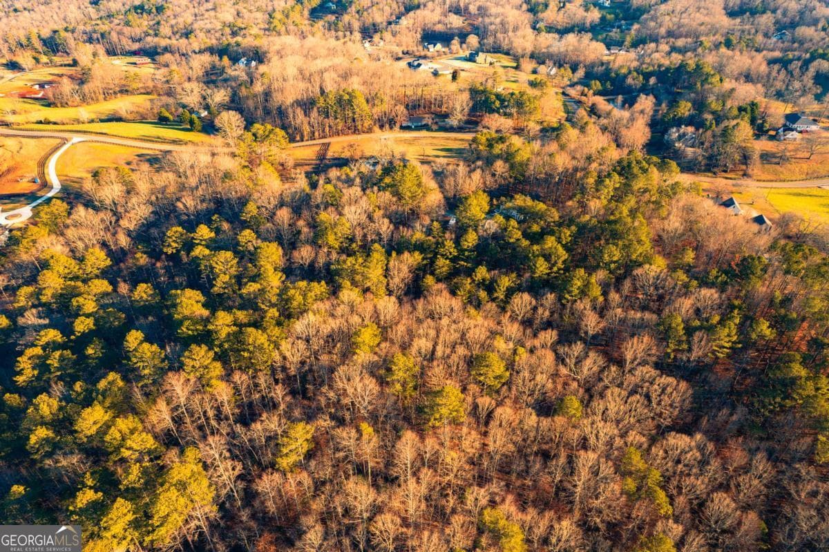 unimproved land for sale at 873 Long Road, Ball Ground, GA 30107 — photo 5