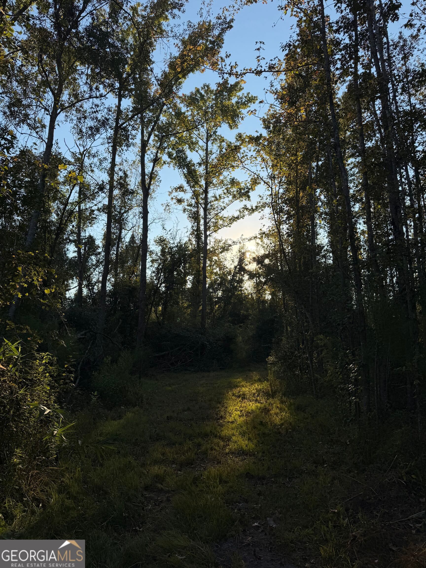 unimproved land for sale at 0 Twin Oaks Road, Ray City, GA 31645 — photo 2