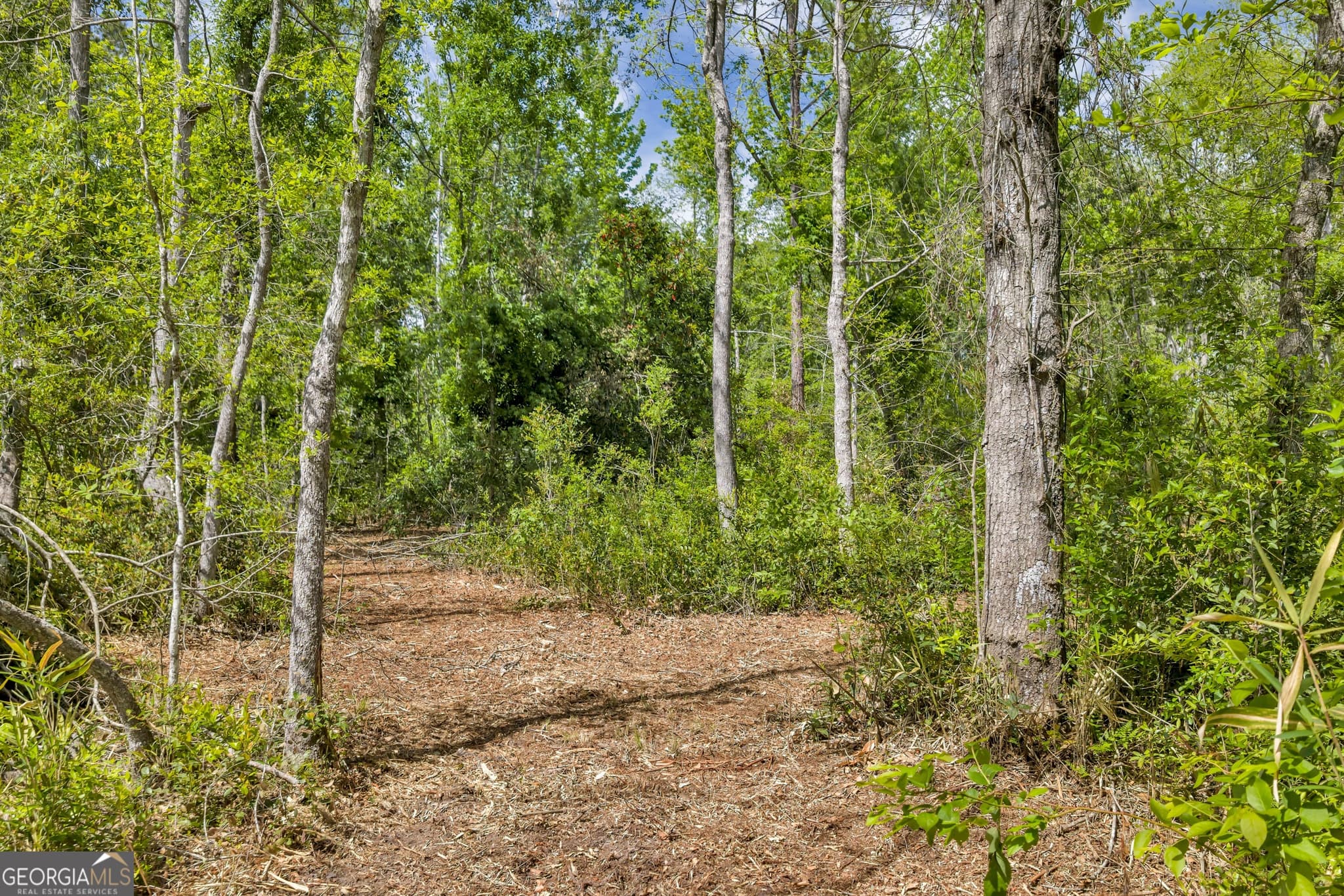 unimproved land for sale at 0 Twin Oaks Road, Ray City, GA 31645 — photo 6