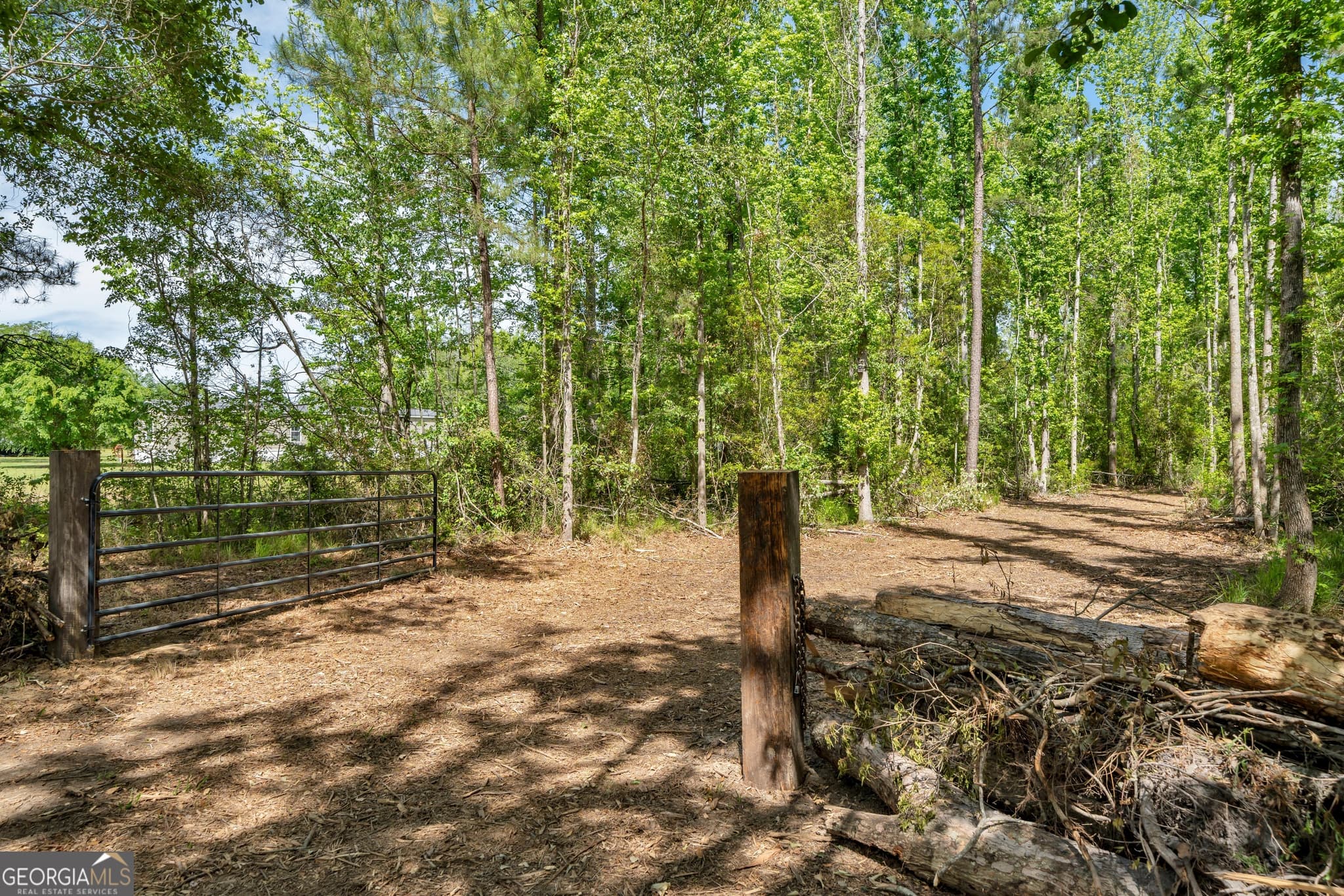 unimproved land for sale at 0 Twin Oaks Road, Ray City, GA 31645 — photo 7