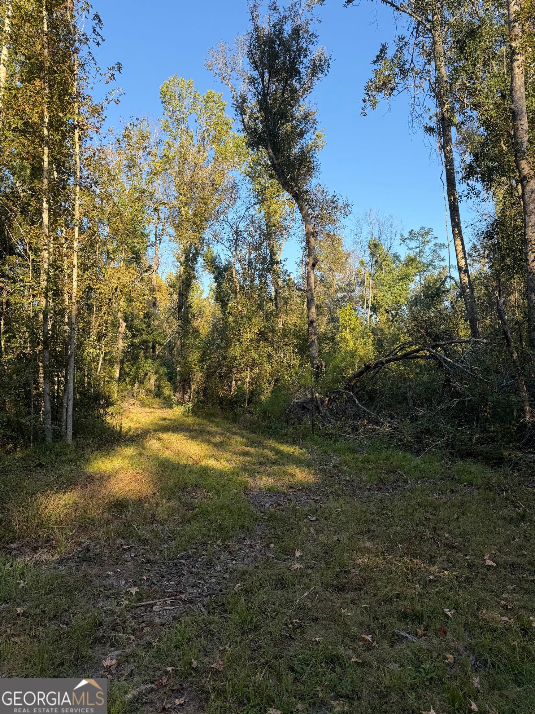 unimproved land for sale at 0 Twin Oaks Road, Ray City, GA 31645 — photo 3