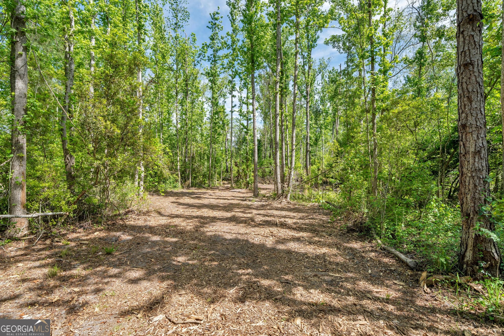 unimproved land for sale at 0 Twin Oaks Road, Ray City, GA 31645 — photo 5