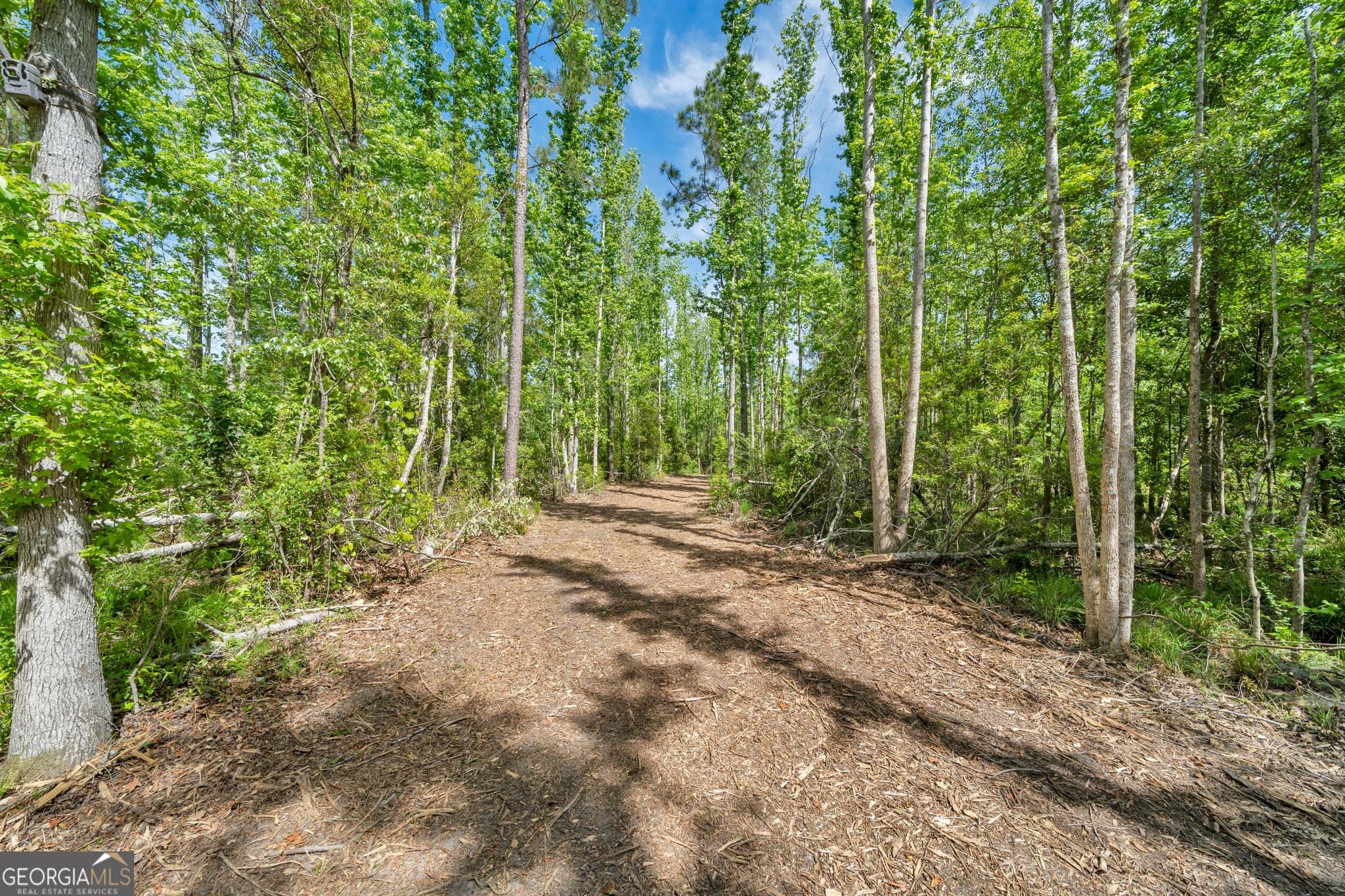 unimproved land for sale at 0 Twin Oaks Road, Ray City, GA 31645 — photo 9