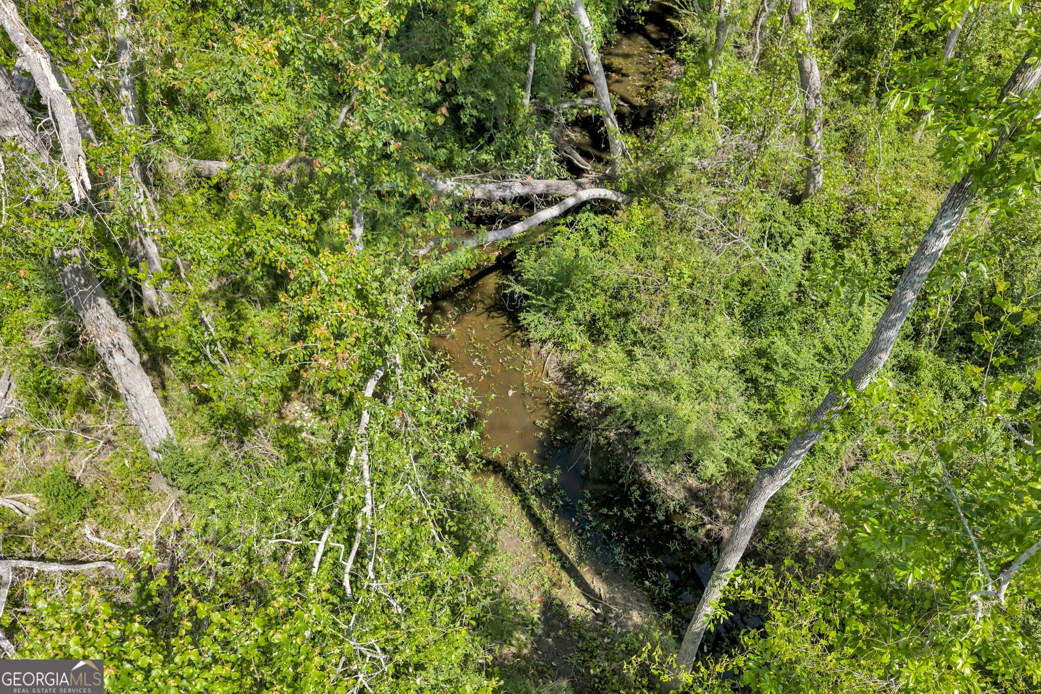 unimproved land for sale at 0 Twin Oaks Road, Ray City, GA 31645 — photo 4