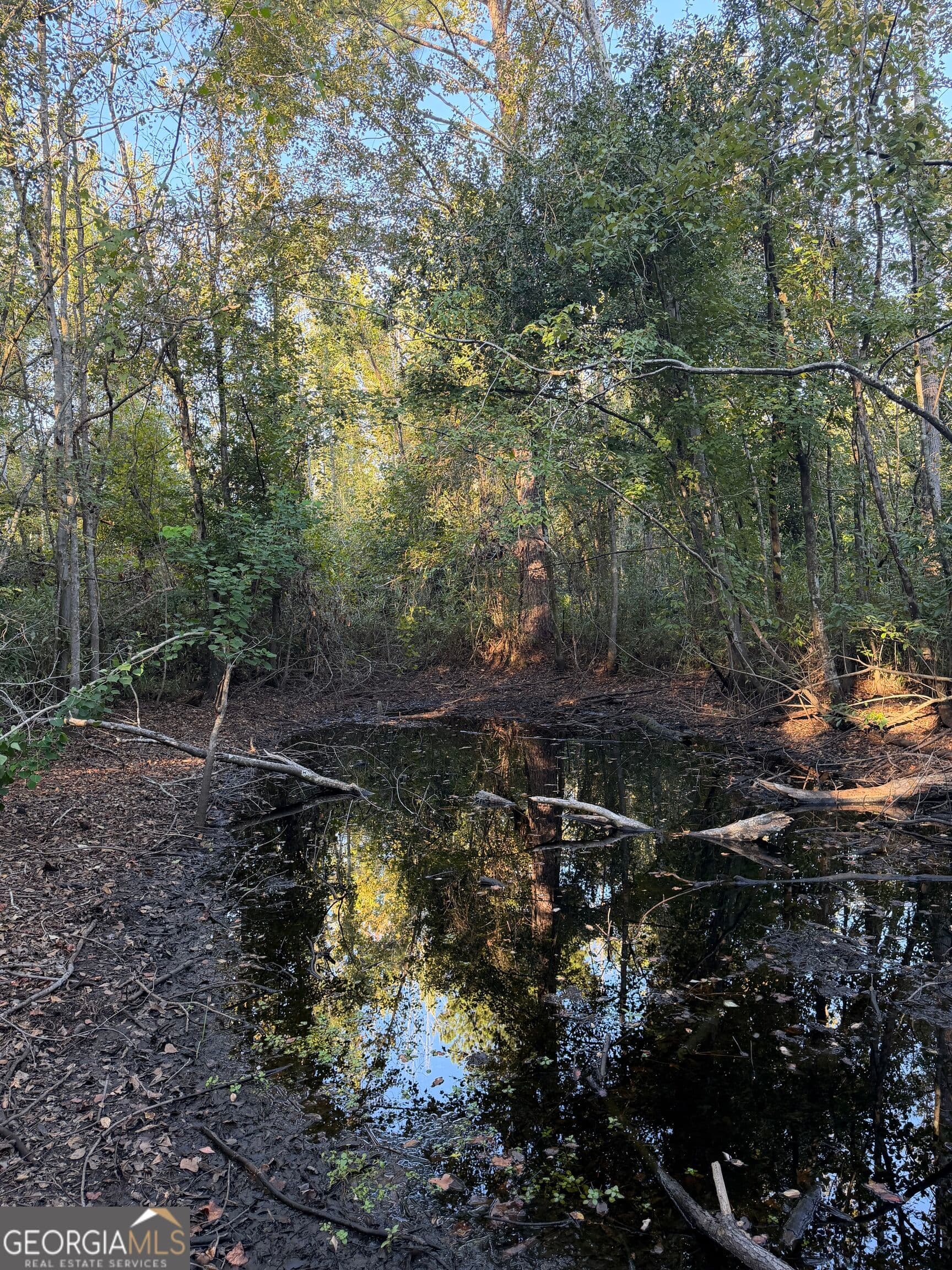unimproved land for sale at 0 Twin Oaks Road, Ray City, GA 31645 — photo 8