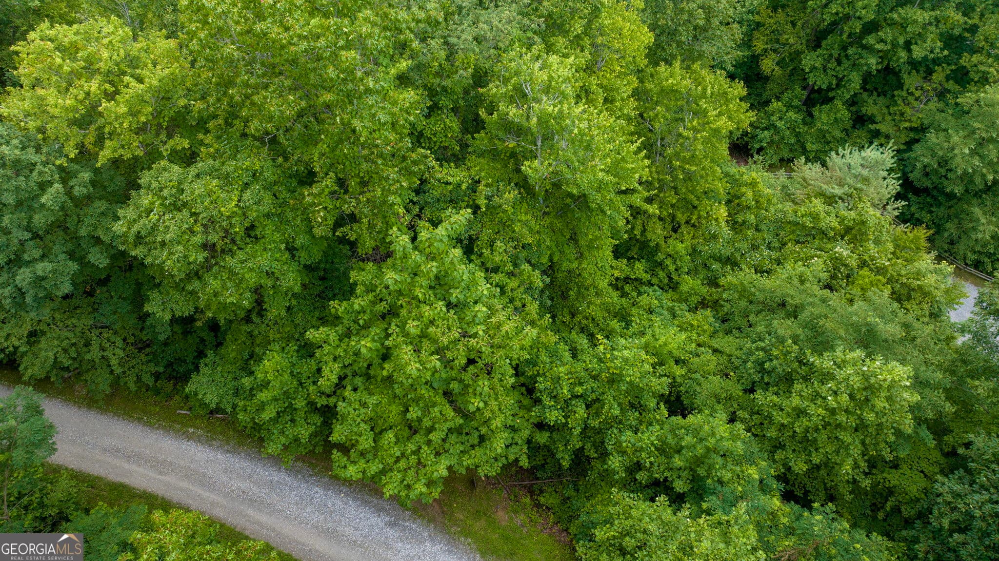 residential lot for sale at LOT J1 Georgianna Lane, Bryson City, NC 28713 — photo 6