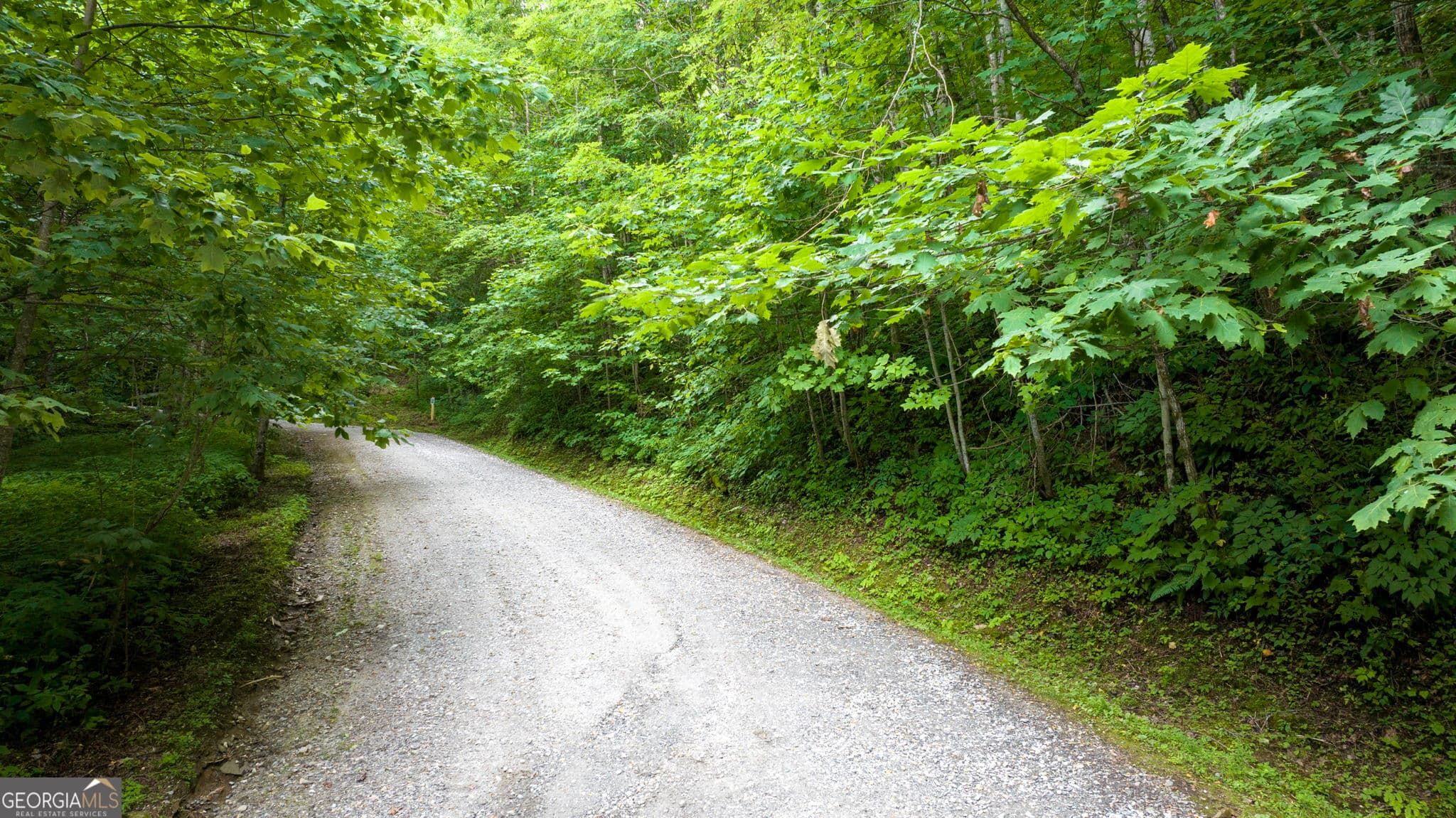 residential lot for sale at LOT J1 Georgianna Lane, Bryson City, NC 28713 — photo 10