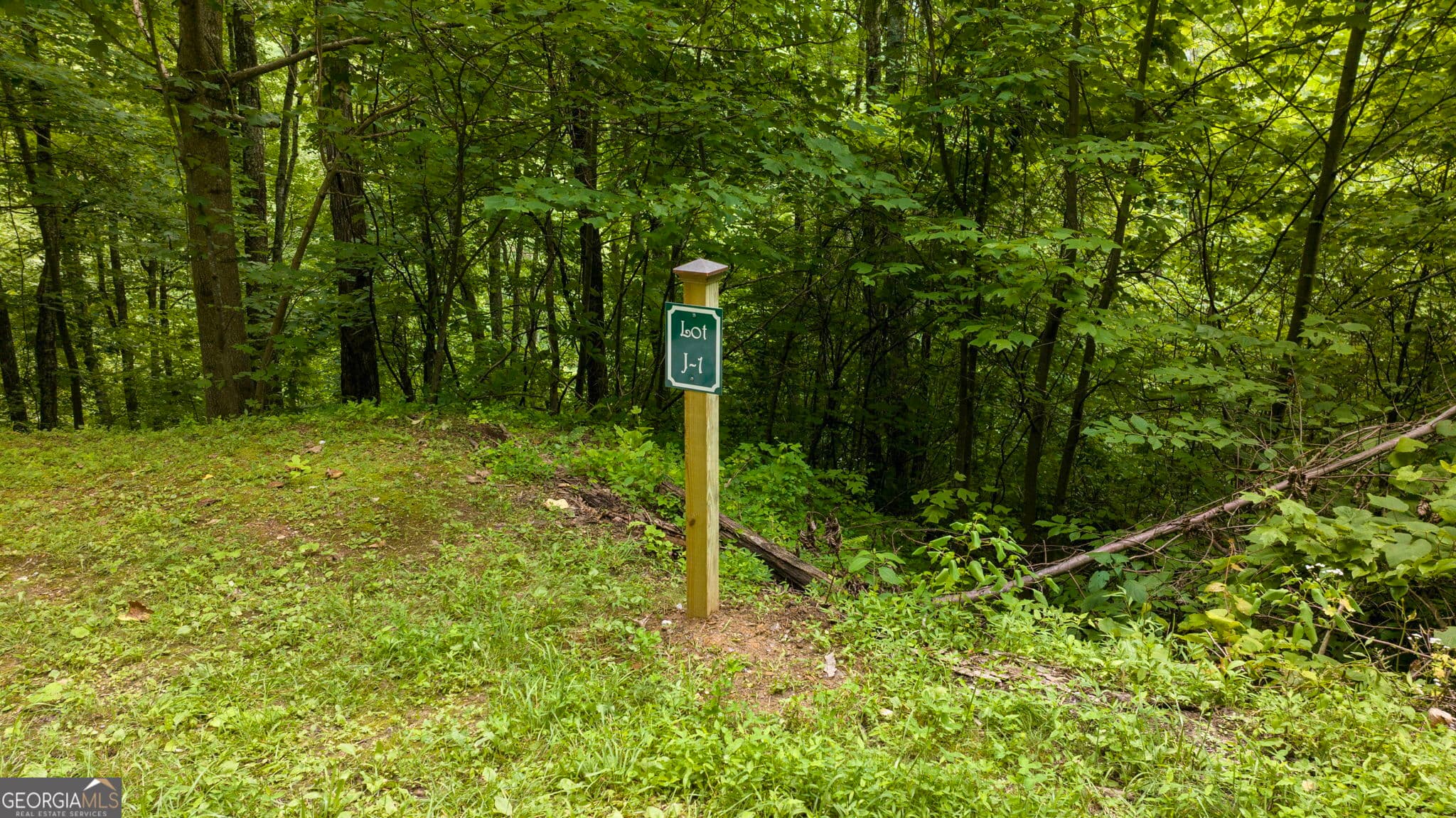residential lot for sale at LOT J1 Georgianna Lane, Bryson City, NC 28713 — photo 4