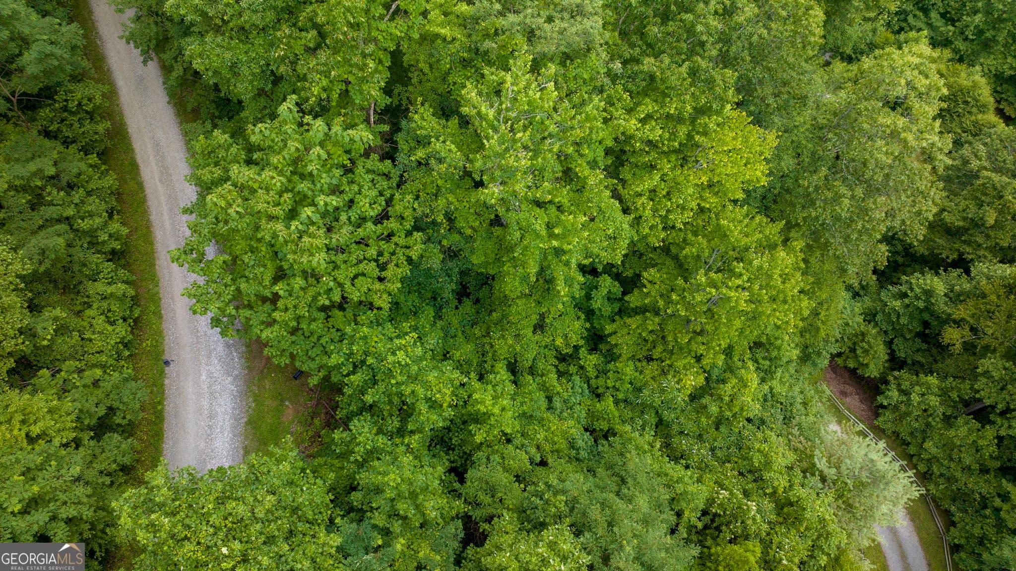 residential lot for sale at LOT J1 Georgianna Lane, Bryson City, NC 28713 — photo 8