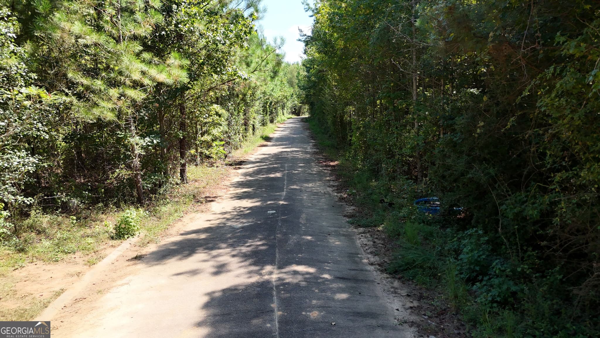 residential lot for sale at 0 Anna Court, Hogansville, GA 30230 — photo 6