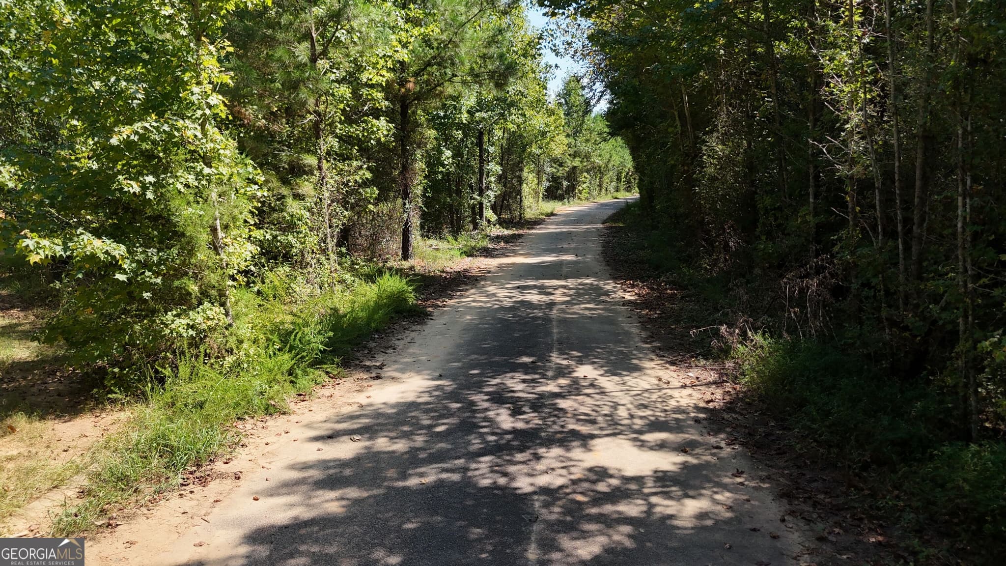 residential lot for sale at 0 Anna Court, Hogansville, GA 30230 — photo 7