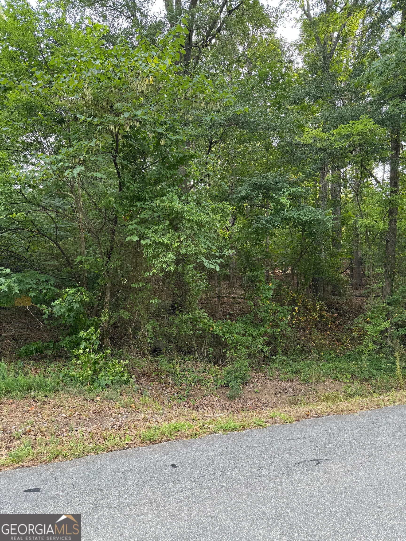 residential lot for sale at 0 Callier Springs Road, Rome, GA 30161 — photo 2