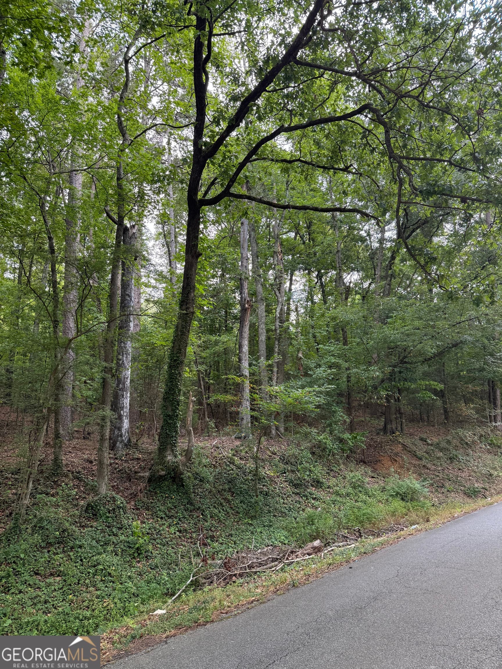 residential lot for sale at 0 Callier Springs Road, Rome, GA 30161 — photo 6
