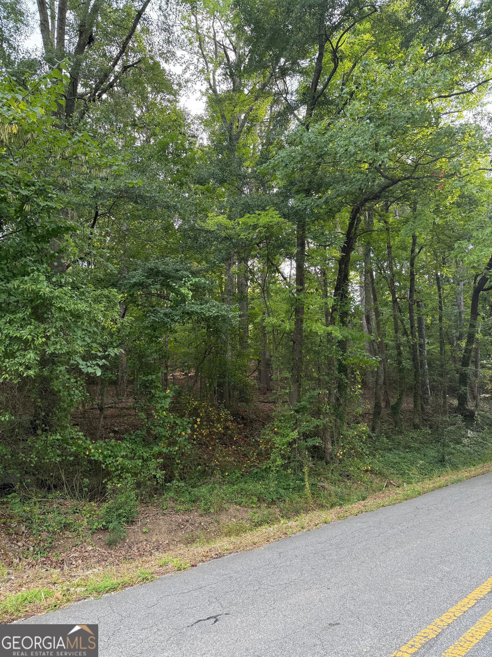 residential lot for sale at 0 Callier Springs Road, Rome, GA 30161 — photo 3